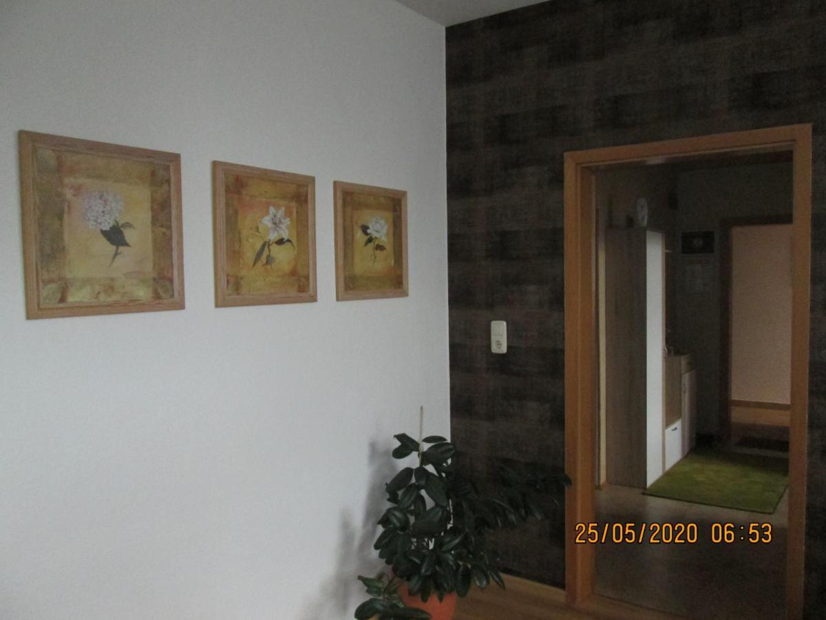 Zentrale-Ruhige Ferienwohnung Reichenbach im Vogtland Eksteriør billede
